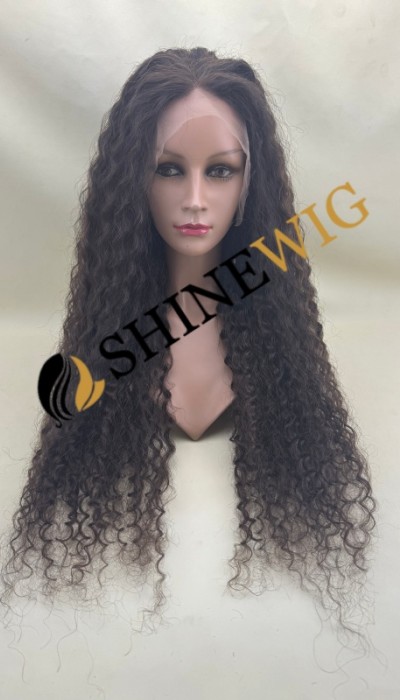 28inch Premium luxury BEST Virgin human hair fuller hair ends highlights color curly HD lace front wig from shinewig