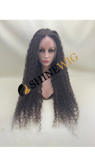 28inch Premium luxury BEST Virgin human hair fuller hair ends highlights color curly HD lace front wig from shinewig
