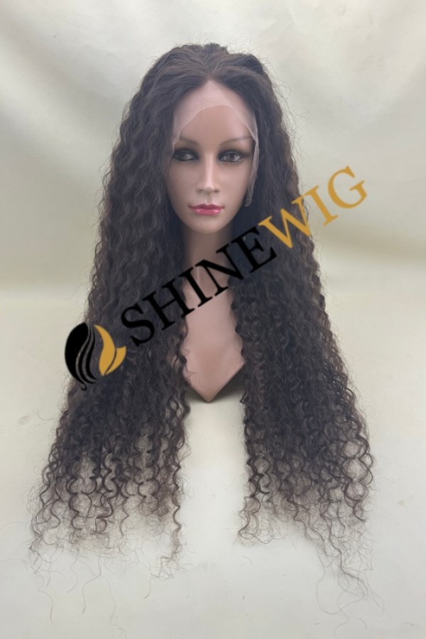 28inch Premium luxury BEST Virgin human hair fuller hair ends highlights color curly HD lace front wig from shinewig