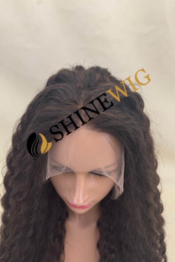 28inch Premium luxury BEST Virgin human hair fuller hair ends highlights color curly HD lace front wig from shinewig