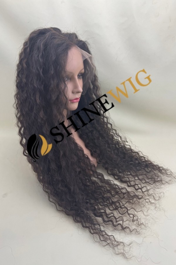 28inch Premium luxury BEST Virgin human hair fuller hair ends highlights color curly HD lace front wig from shinewig